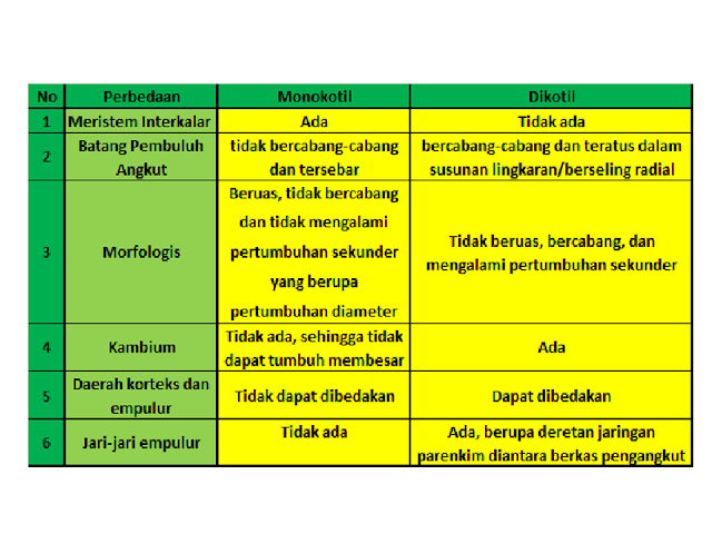 Perbedaan Monokotil dan Dikotil