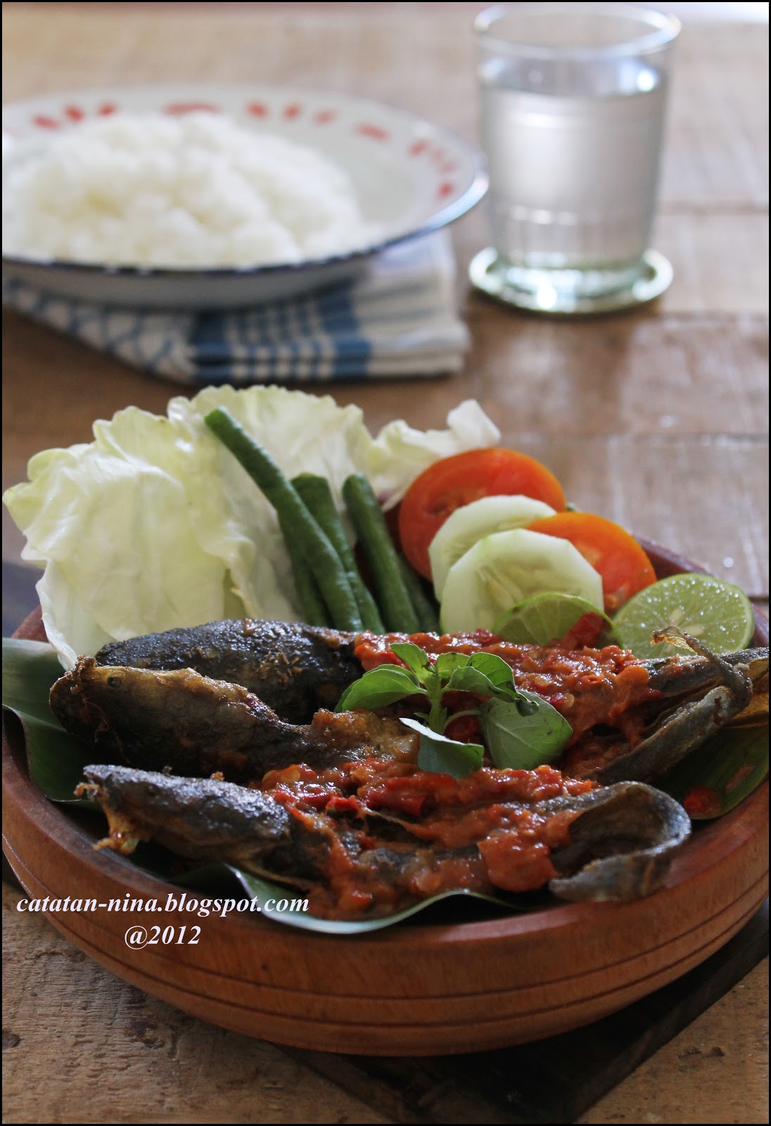 PENYETAN LELE Catatan  Nina  Aneka Resep  Masakan Rumah 
