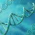 DNA the biological storage device can store 2.2 peta byte data in one gram !!!