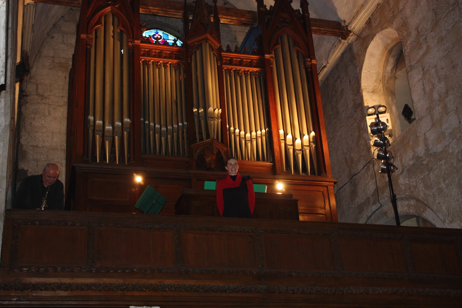 Marie Odile Syren Chroniques Du Chat Perche Orgue Suite