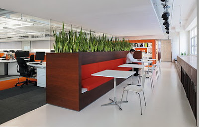 Plants in Office