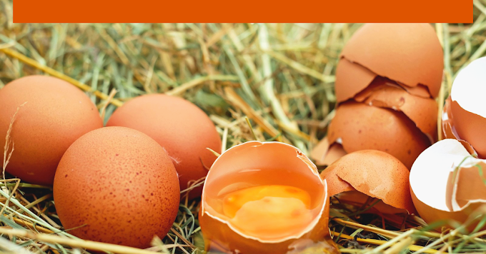 Did You Know Eating Eggs Daily Can Trigger Diabetes?