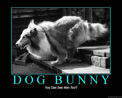  Motivational Posters on Connor S Thoughts  Dog Bunny   Motivational Poster