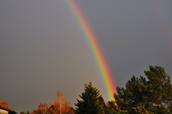 Regenbogen...