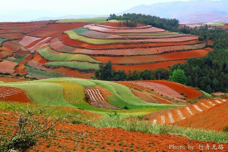 dongchuan-red-soil-16