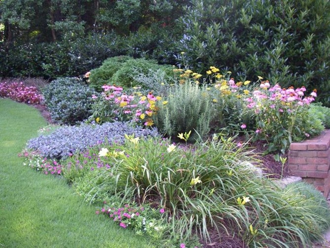 perennials in garden