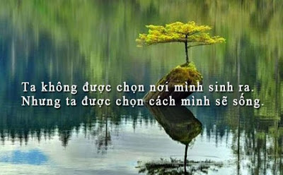 Top những câu danh ngôn hay nhất về cuộc sống