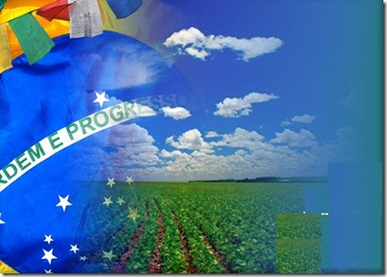 new-farm-brazilsoy
