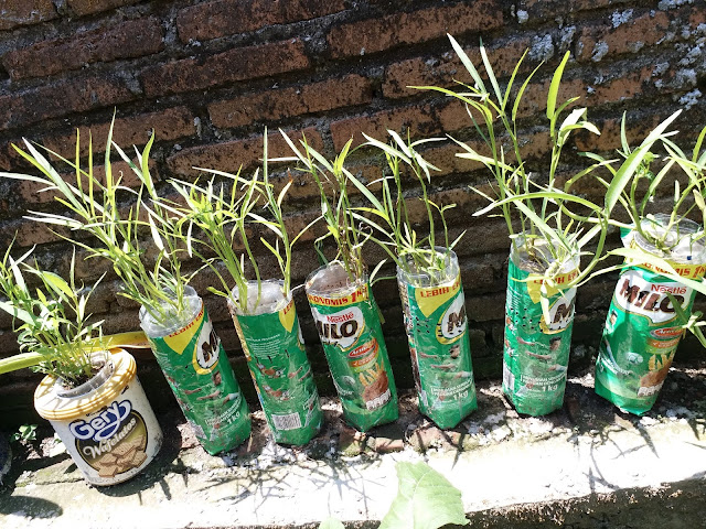 diy-cara-membuat-pot-pengairan-otomatis-daur-ulang-botol-aqua