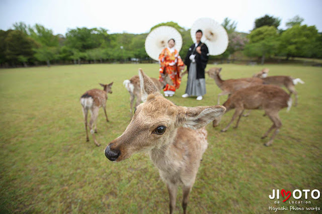 奈良前撮り