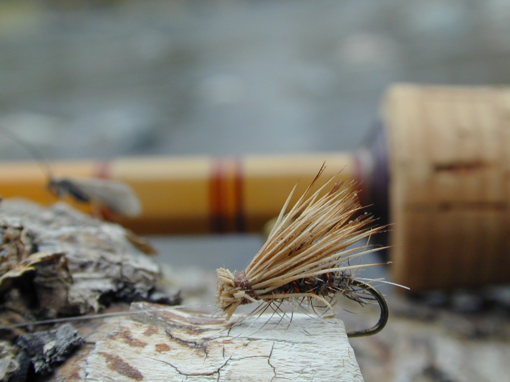 Chilean Anglers: Recommended flies for the season opener in Chile