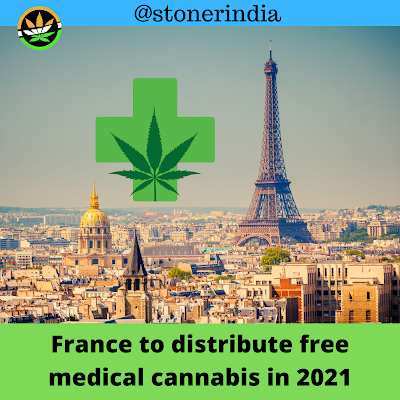 France to give medical marijuana to 3000 patients for an experiment