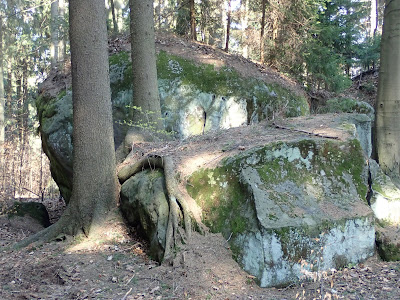 Sudety, Góry Stołowe, Szczeliniec Wielki