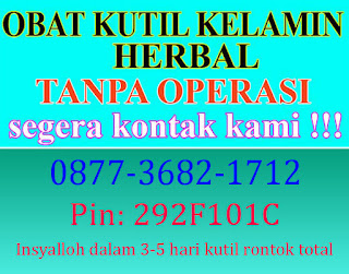 obat kutil kelamin