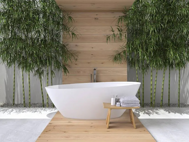 Decorating a bathroom with living bamboo