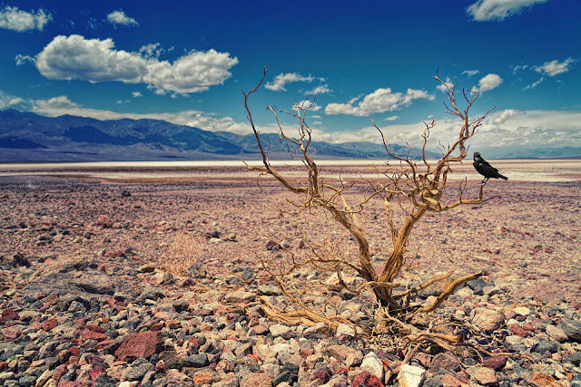 Vẻ đẹp của thung lũng Death Valley