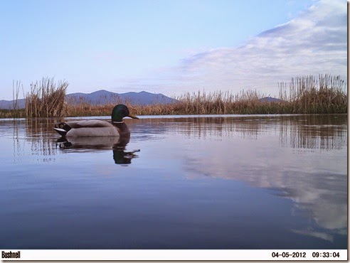balson 2 al 5 de Abril de 2012 766