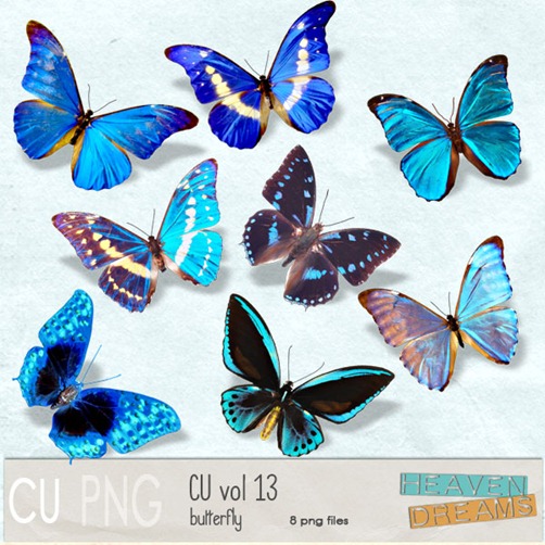 HD_cu_vol_13