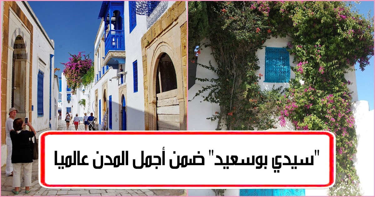 تونس : مدينة "سيدي بوسعيد" تصنّف ضمن أجمل المدن في العالم