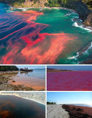 Red Tide