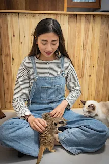 癒室|台東寵物友善貓咖啡狐蒙兔子小獵犬咖啡廳