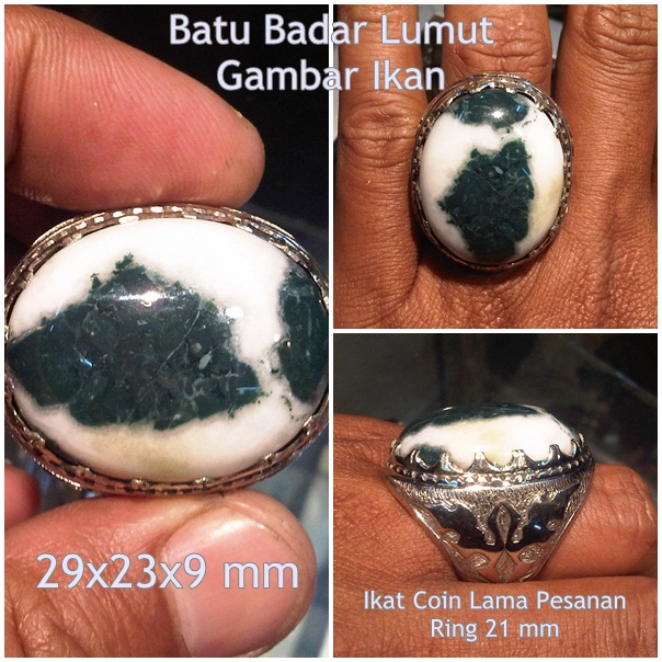 Lapak Batu Antik LBA BG167 SOLD Batu Badar Lumut 