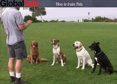 how to train pet owners