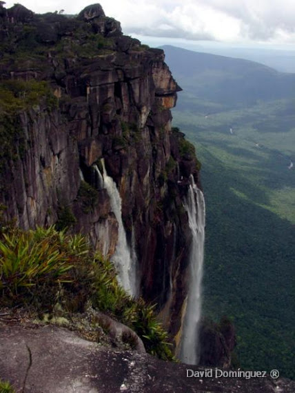 7 Highest Waterfalls on Earth- Yosemite Falls, Mutarazi Falls, Gocta Cataracts, Mongefossen, Ramnefjellsfossen, Tugela Falls, Angel Falls 