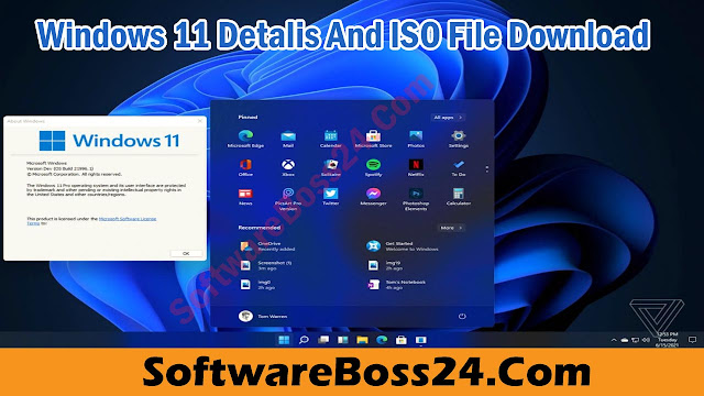 Windows 11 Detalis And ISO File Downloa