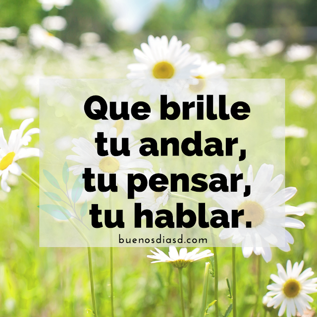 imagen con frases positivas de buenos dias