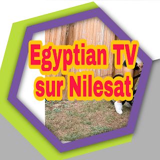 Fréquence Egyptian TV HD sur Nilesat