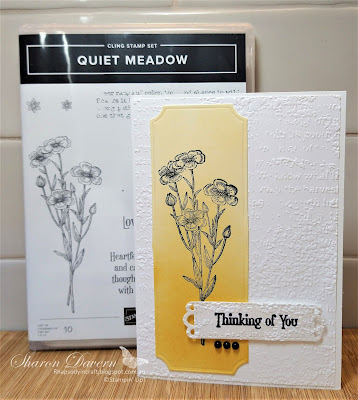 Rhapsody in craft, Crushed Curry, Quiet Meadow, Quiet Meadow Bundle, Quiet Meadow Dies, Thinking of you, Timeworn Type 3D Embossing Folder, Blending Brushes, Painted Label Dies, Stampin' Up!, #colourcreationsbloghop