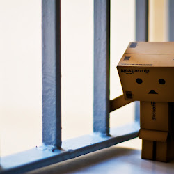 Wallpaper Danbo @ digaleri.com