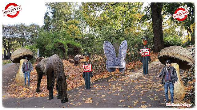 Fotomontasje fra Pilehagen i Botanisk hage.