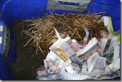 worm bin update