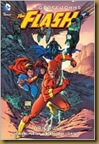 the flash