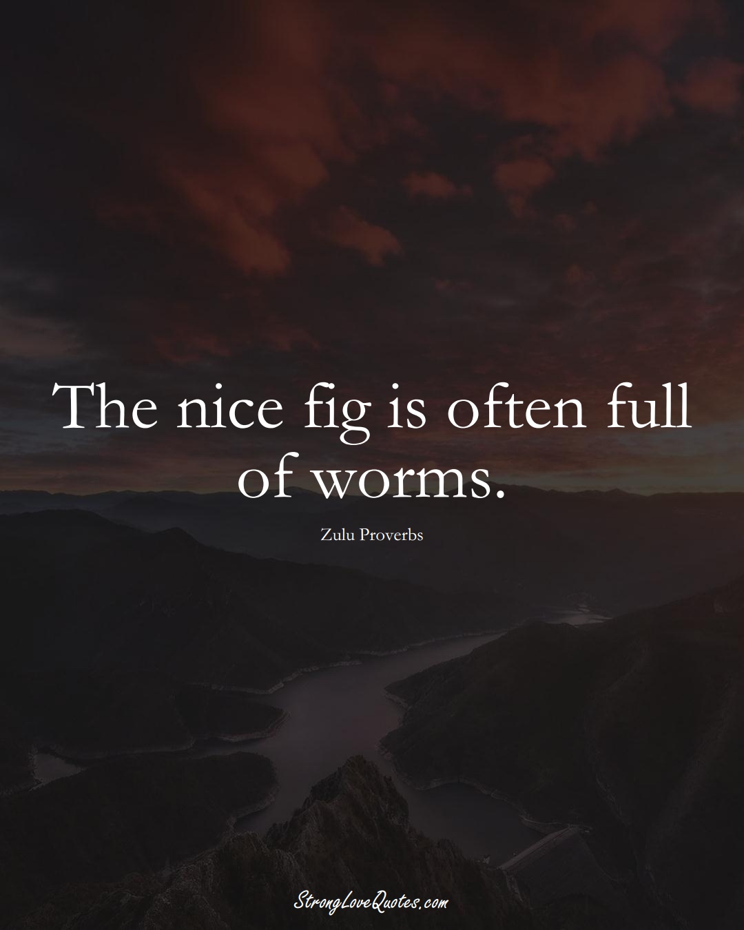 The nice fig is often full of worms. (Zulu Sayings);  #aVarietyofCulturesSayings