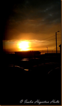 IMAG0592