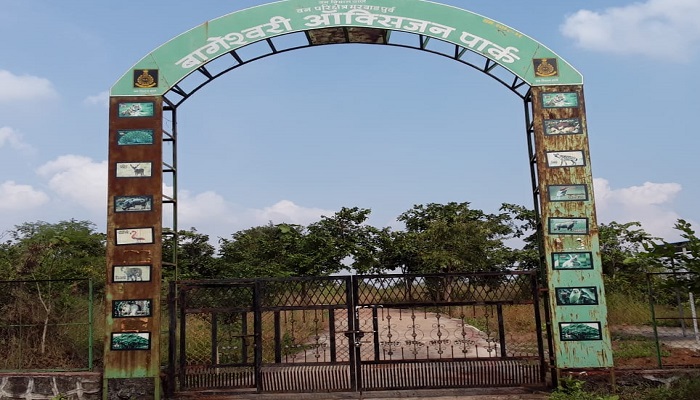 इमेज
