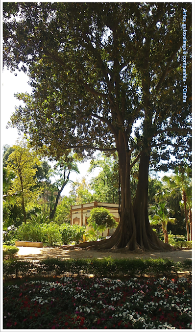 Parque María Luisa;