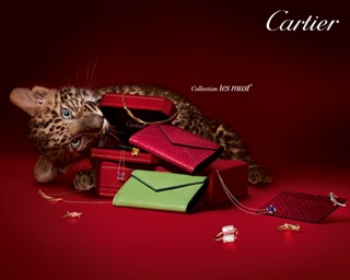 Cartier-Les-must-1