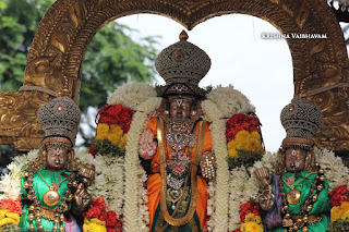 Vaigasi, Purappadu,Video, Divya Prabhandam,Sri Parthasarathy Perumal, Triplicane,Thiruvallikeni,Utsavam,Gajendra Varadhar,Brahmotsavam