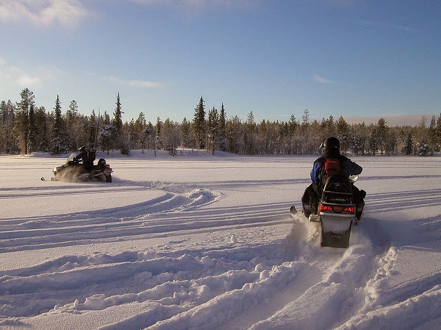 two snowmobile riders with trees in the background
