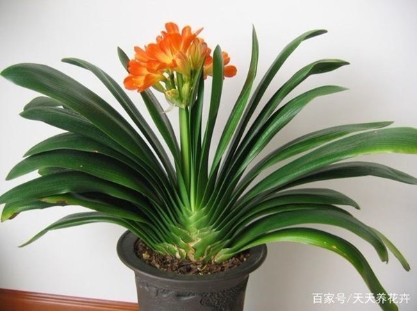 clip_image005[4]