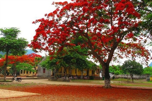 Cho con học hè ở đâu tốt tại tp Hồ Chí Minh?