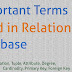 Important terms used in Relational Database - MySQL Tutorial