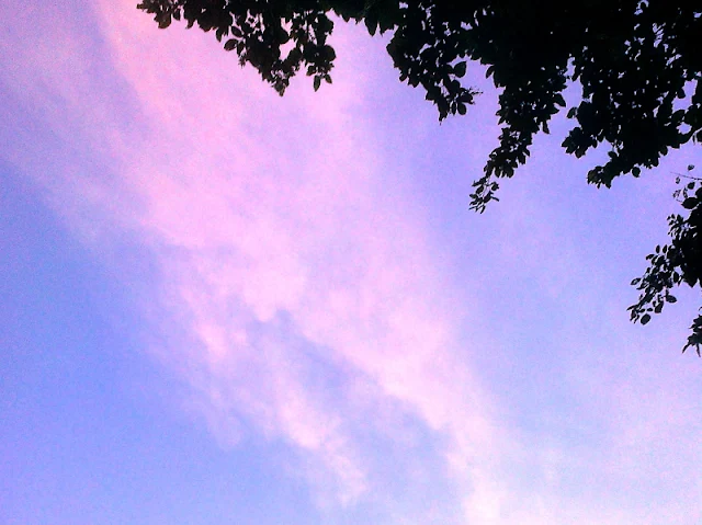 Nokia Asha 300, Mobile Photography, Twilight Pending I 02