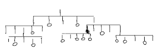 R-way decision tree