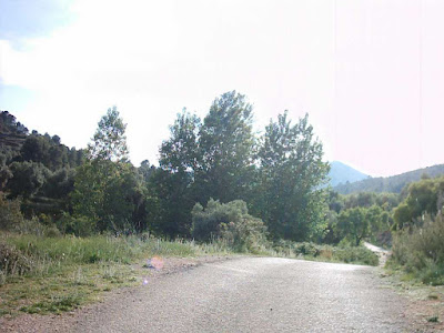 La pileta, camino, pantano de Pena, embalse, finca, almendros, olivos 24