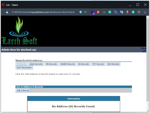 Manage DNS records - add, delete or remove DNS records in Larch Soft